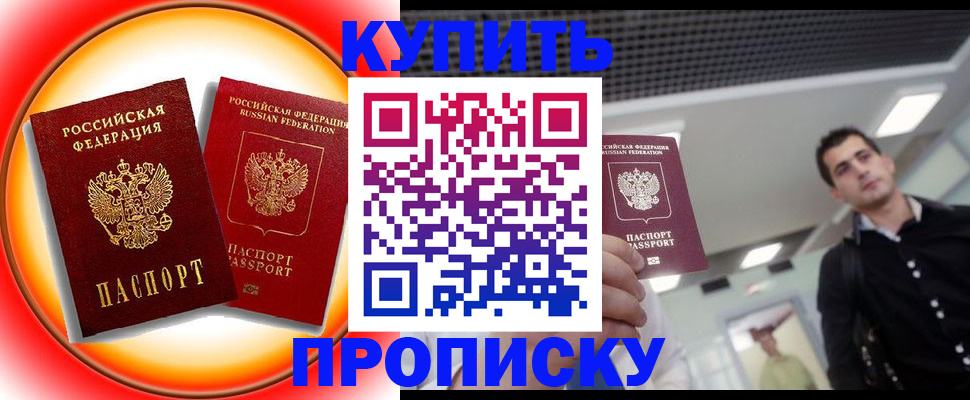 временная прописка в Ельне